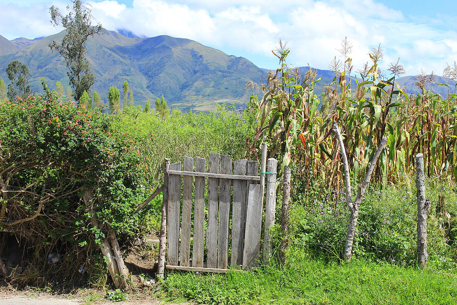 Wood Gate and Field Photograph by Robert Hamm - Fine Art America