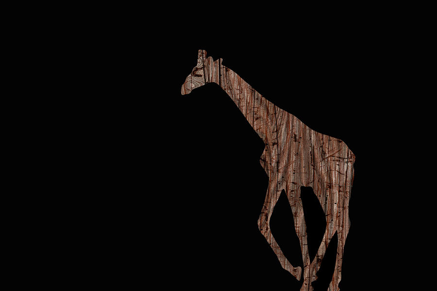 Wood Giraffe Digital Art by Ernest Echols