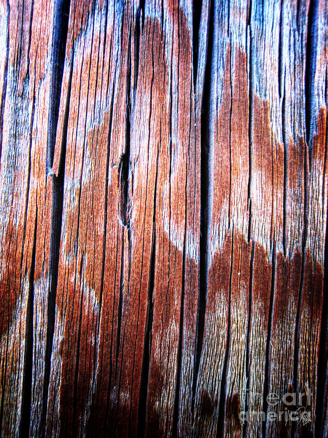 Wood In Macro #5 Photograph