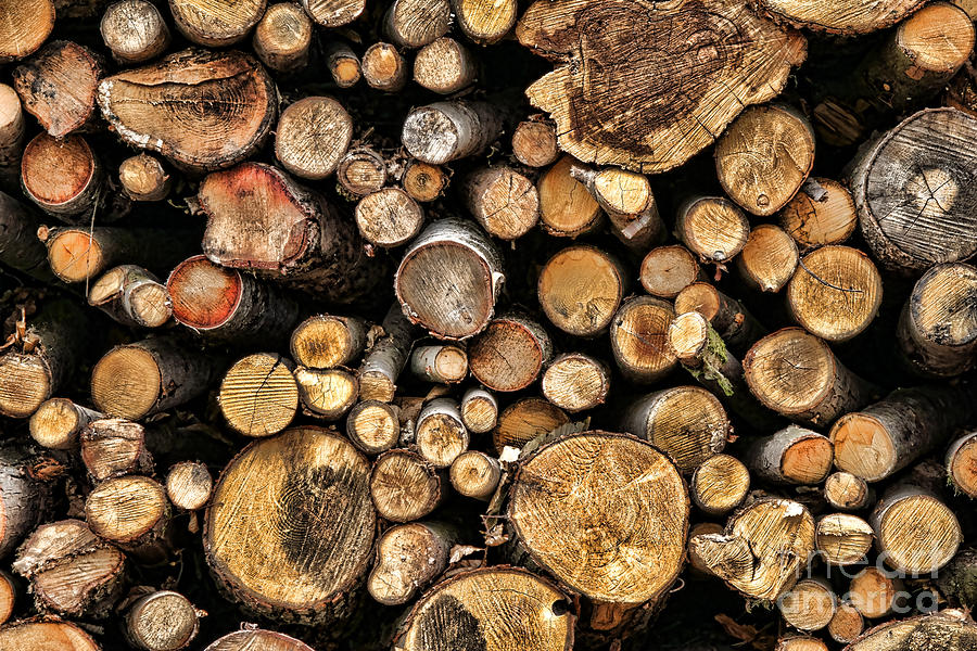 Wood Log Stack Number 144 Photograph by Olivier Le Queinec
