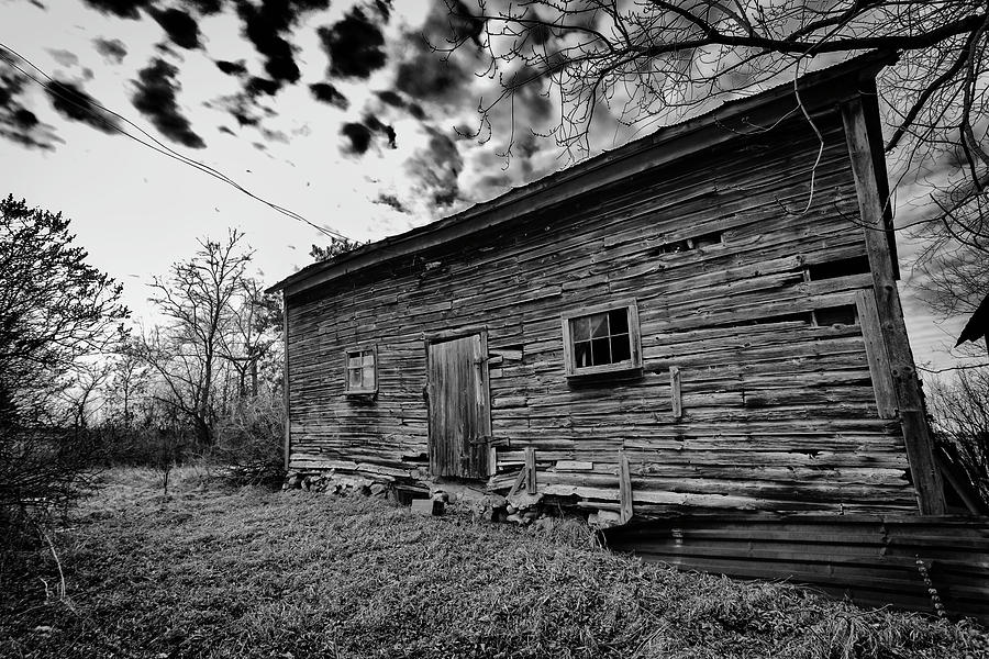 Wood of Grey Photograph by CJ Schmit