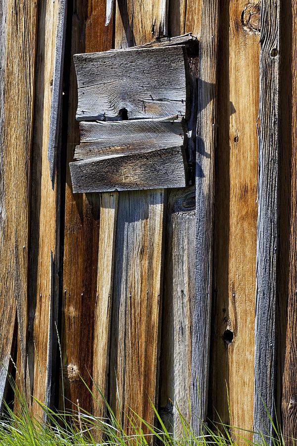 Wood on Wood Photograph by Kelley King