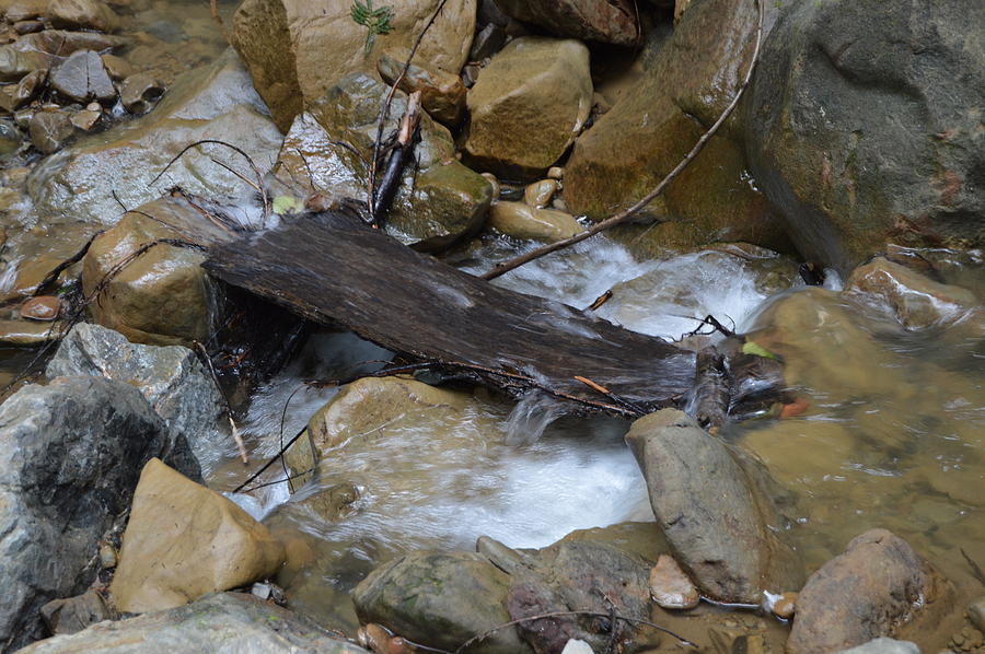 Wood Over Rushing Stream Photograph by Warren Thompson
