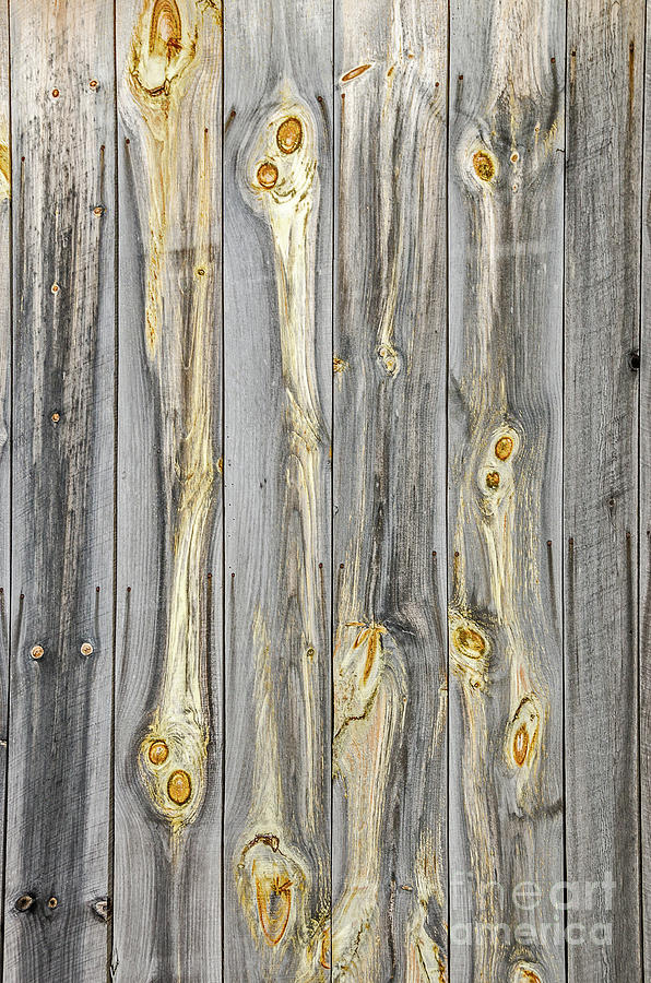 Wood Patterns with Character on an Old Barn Photograph by Sue Smith