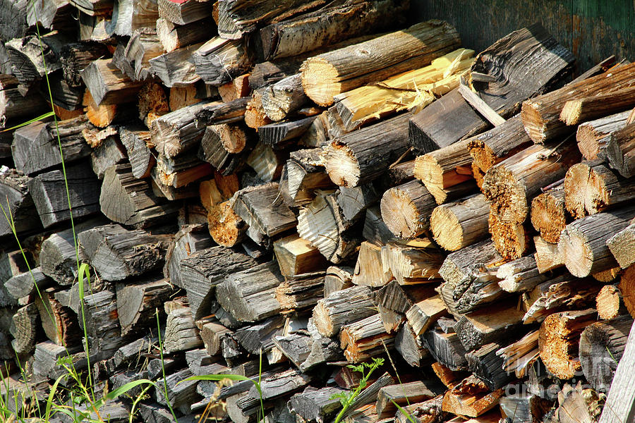 Wood Pile Photograph by Ann E Robson