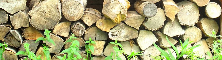 Wood Pile Photograph by Ian  MacDonald