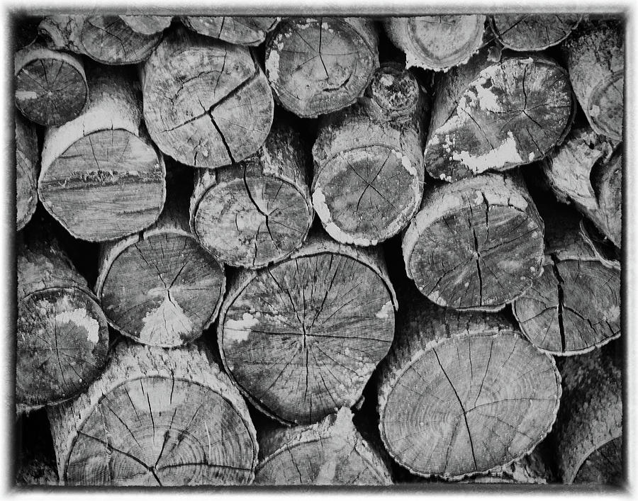 wood pile by Michael Raiman wood pile by Michael Raiman