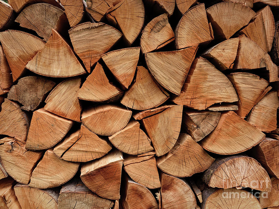 Wood Pile Photograph