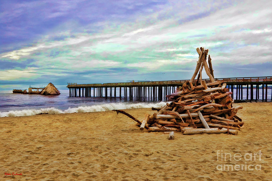 Wood Pile Sea Cliff State Beach Photograph by Blake Richards