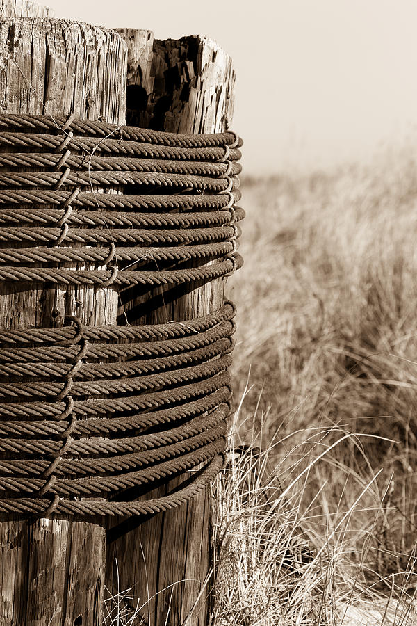 Wood Piling secured by steel cable - Sepia Photograph by Joni Eskridge