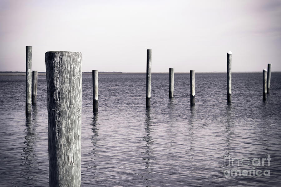 Wood Pilings in Monotone Photograph by Colleen Kammerer