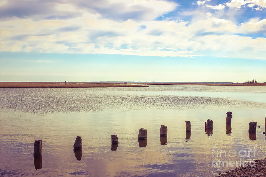 Wood Pilings in Still Water Photograph by Colleen Kammerer