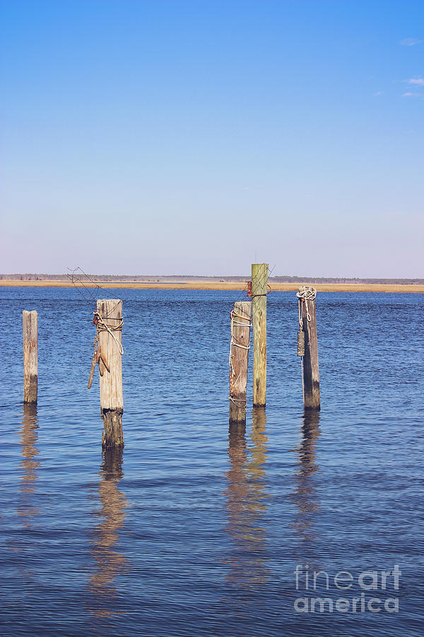 Wood Pilings on the Mullica River Photograph by Colleen Kammerer