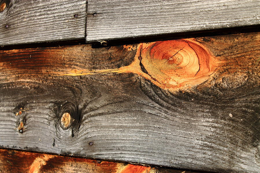 Wood Planks Photograph by Frank Romeo