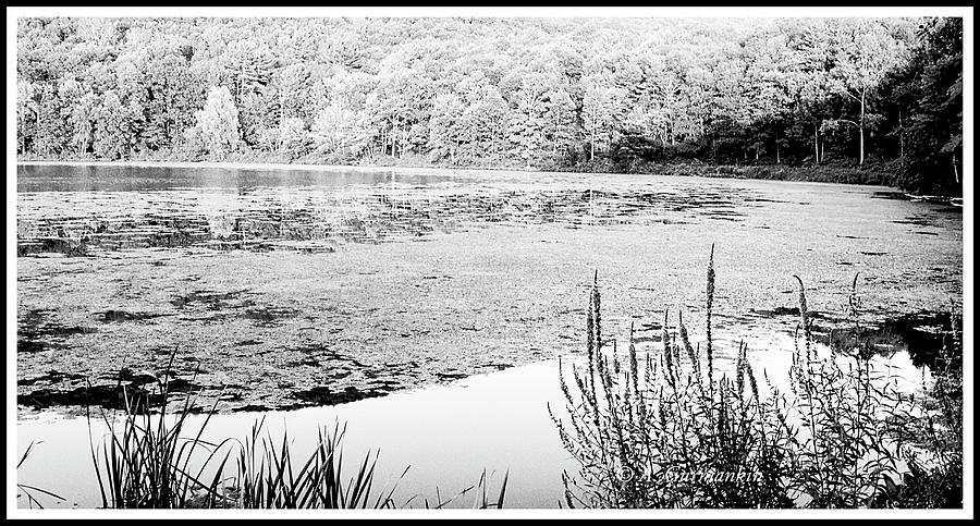 Wood Pond, Berkshire Mountains, Massachusetts, Digital Art Photograph by A Macarthur Gurmankin
