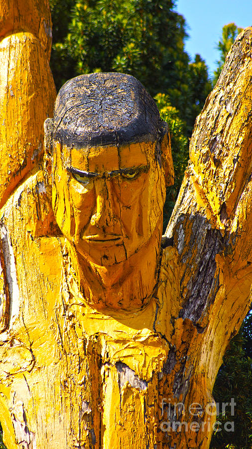 Wood Sculpture In A Garden Photograph