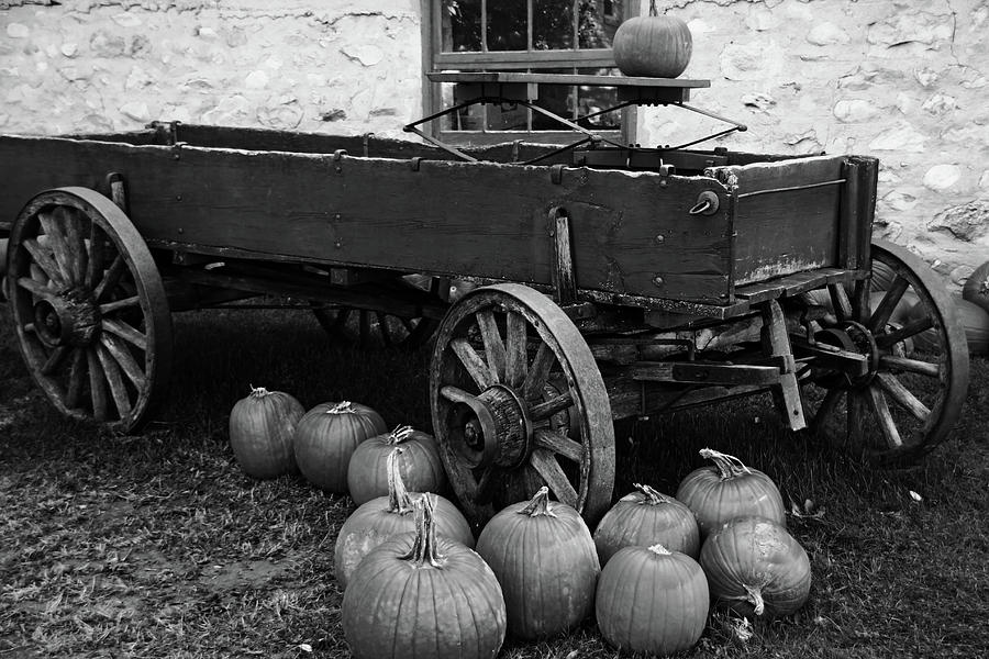 Wood Wagon And Pumpkins Black And White Photograph by Debbie Oppermann