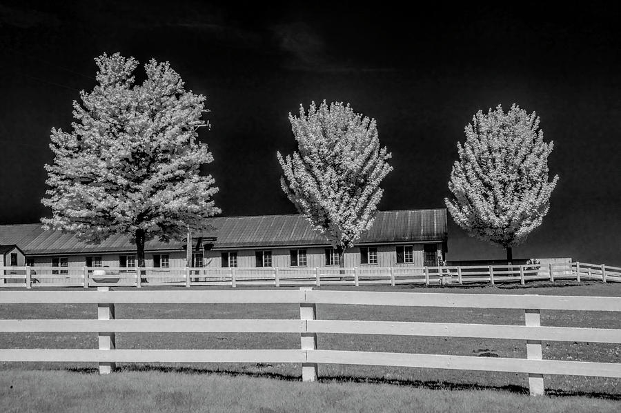 Wood White Fence and Trees in Infrared Photograph by Randall Nyhof