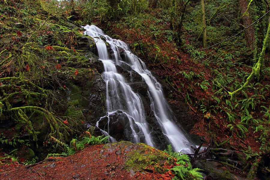 Woodburn Falls Photograph by Marshall Powell Photography | Fine Art America