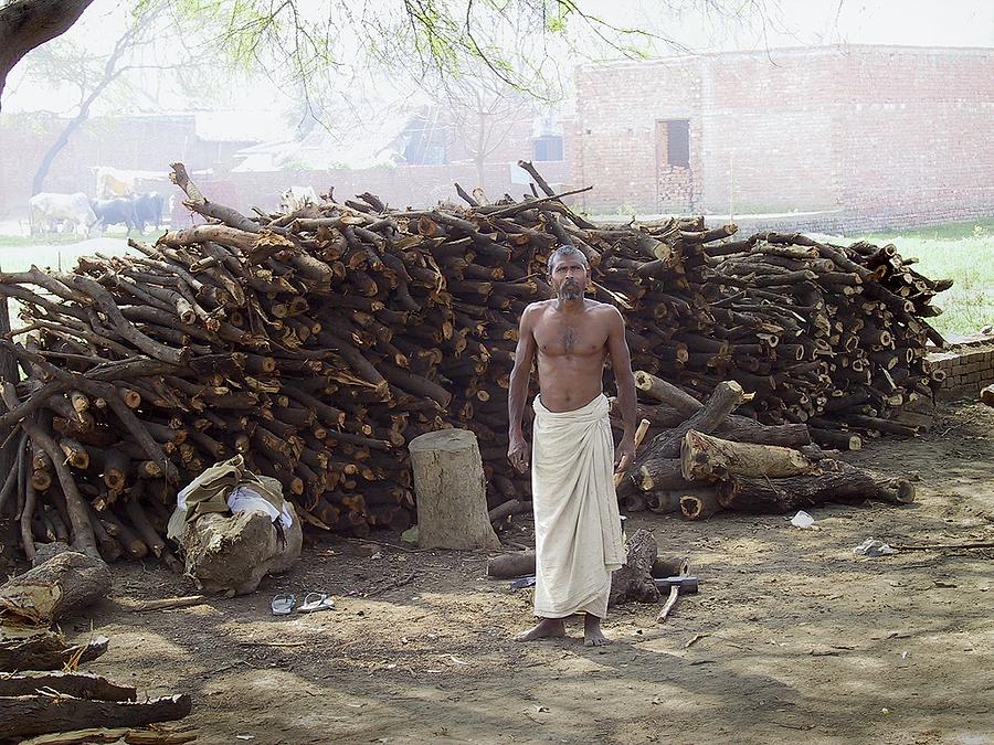 Woodchopper - India Photograph by John Hansen