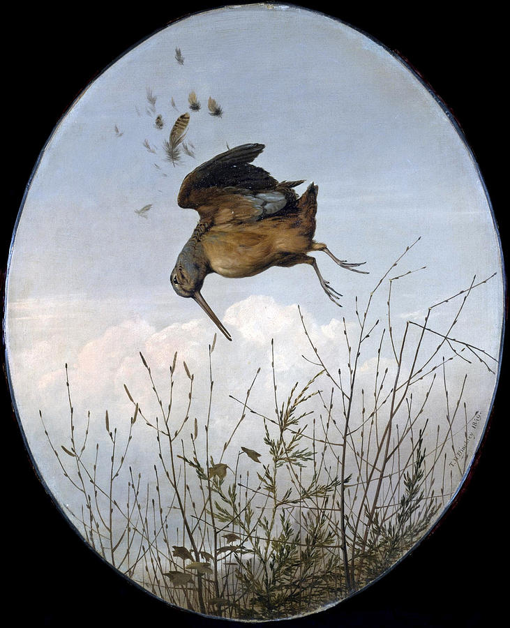 Woodcock Painting - Woodcock by Thomas Hewes Hinckley