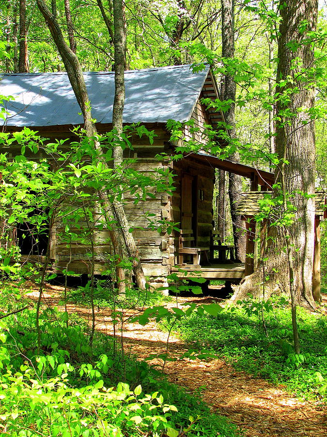 Wooded Cabin Photograph by Theresa Causey - Fine Art America