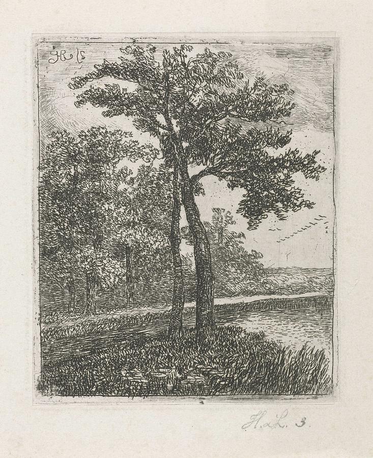 Wooded Landscape With Ducks, Hermanus Jan Hendrik Van Rijkelijkhuysen, 1823 - 1883 Painting