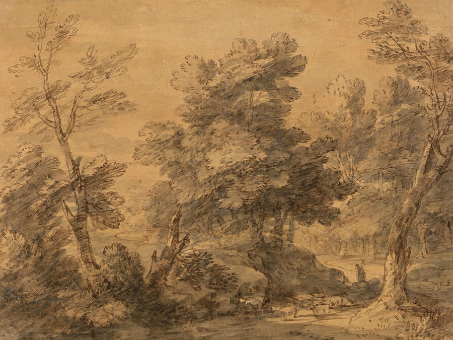 Wooded Landscape with Shepherd and Sheep Drawing by Thomas Gainsborough