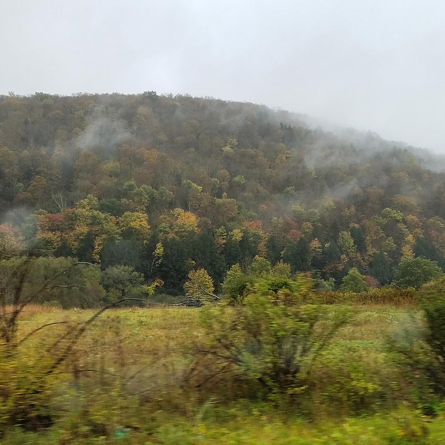 Wooded Mountain Mist Photograph by Vic Ritchey