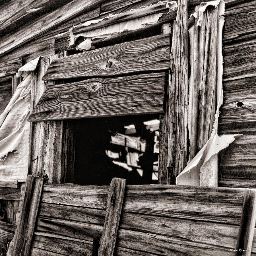 Wooded Peekaboo Photograph by Blake Richards