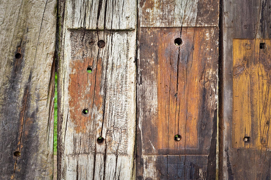 Wooden background Photograph by Tom Gowanlock