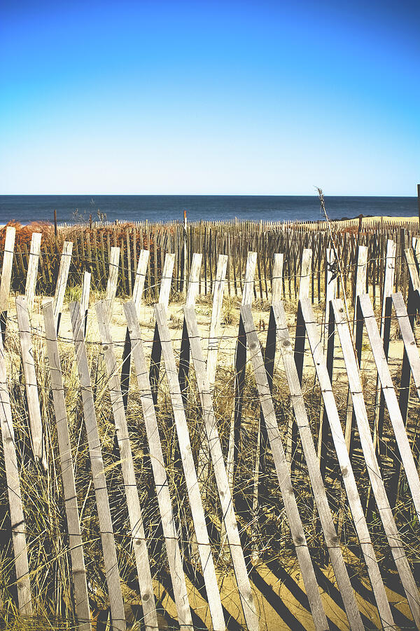 Landscape Photograph - Wooden Beach Fence I by Colleen Kammerer