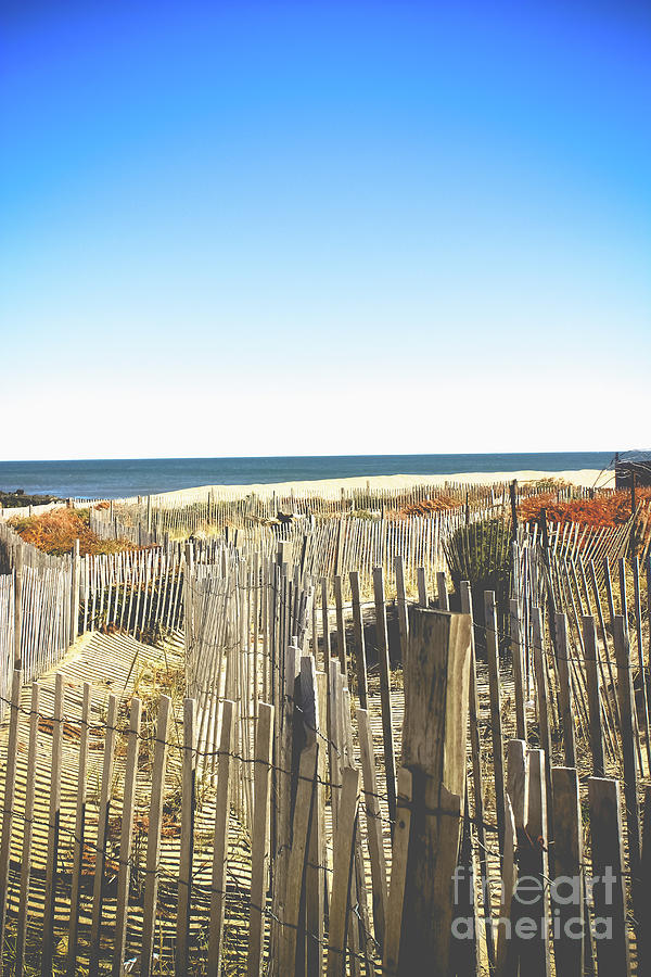 Wooden Beach Fence II Photograph by Colleen Kammerer