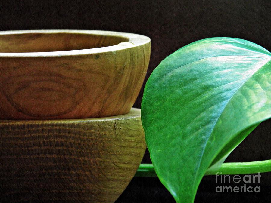 Wooden Bowls 1 Photograph by Sarah Loft