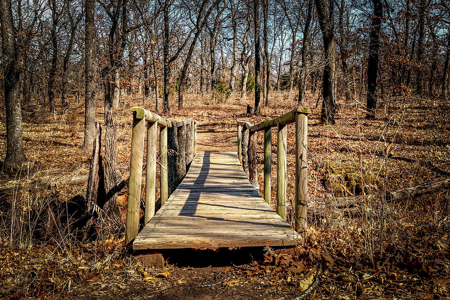 Wooden bridge Photograph by Doug Long