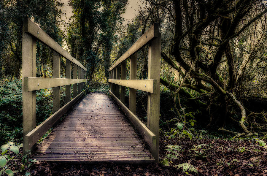 Wooden Bridge Photograph by Nick Bywater