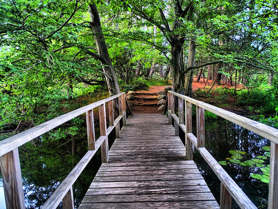 Wooden Bridge Over Small Creek Photograph By Lilia D Pixels