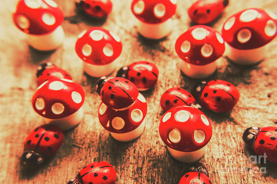 Wooden bugs and plastic toadstools Photograph by Jorgo Photography