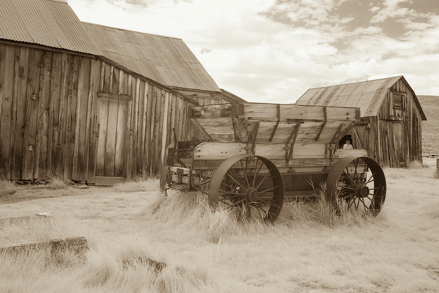 Wooden cart and barns in Bodie, California in black and white Photograph by Karen Foley