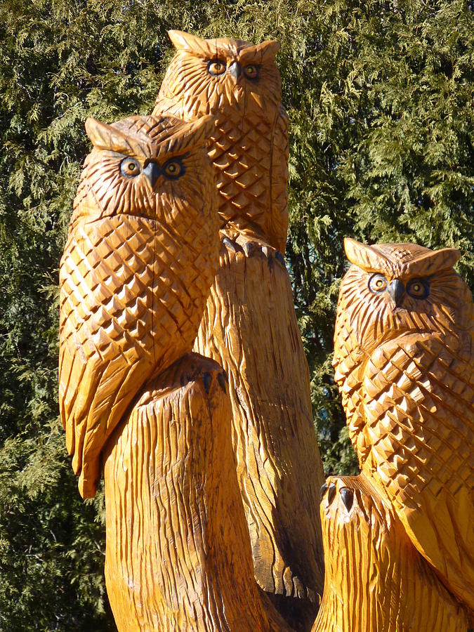 Wooden Carvings Photograph by Jeanette Oberholtzer