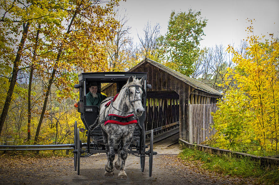 Wooden Covered Bridge and Amish Horse and Buggy in Autumn Photograph by Randall Nyhof