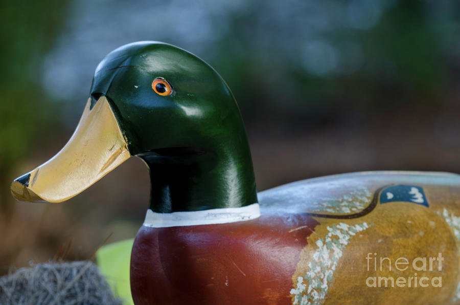 Wooden Duck Decoy Photograph by Dale Powell