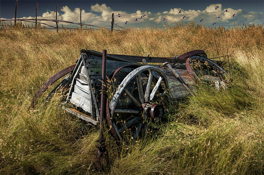 Wooden Farm Wagon in the Grass on the Prairie Photograph by Randall Nyhof