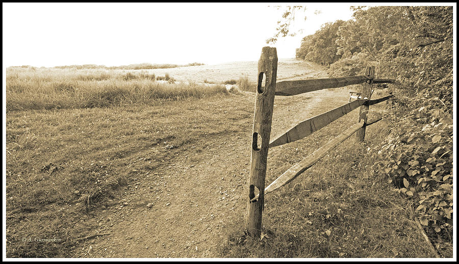 Wooden Fence Along Rural Meadow Photograph by A Macarthur Gurmankin
