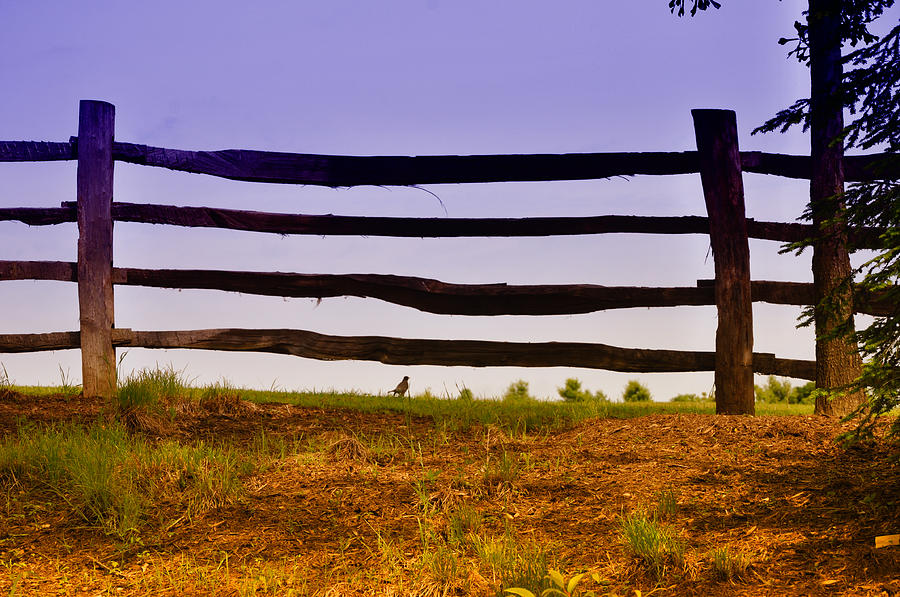 George Washington Photograph - Wooden Fence by Bill Cannon