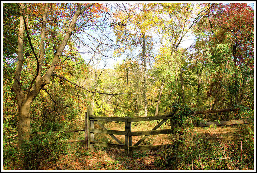 Wooden Fence by a Rural Road, Autumn Photograph by A Macarthur Gurmankin