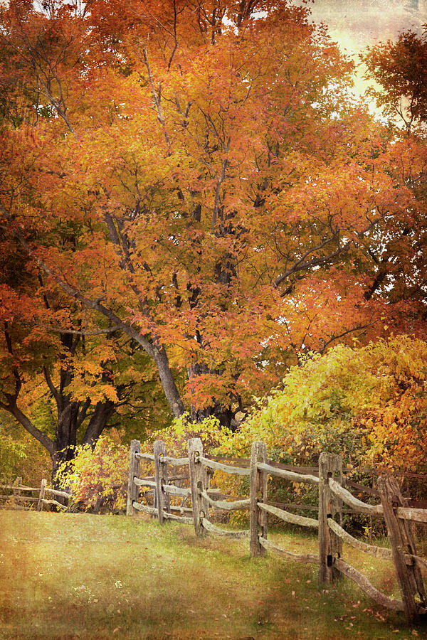 Wooden Fence in Autumn Photograph by Joann Vitali