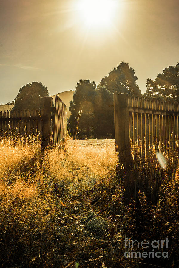 Wooden fence with an open gate Photograph by Jorgo Photography