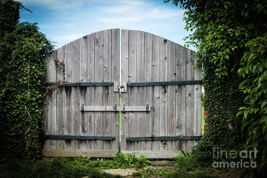 Wooden Gate In Northern Maryland Photograph