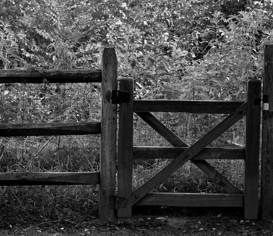 Wooden Gate Photograph by Karen Harrison Brown